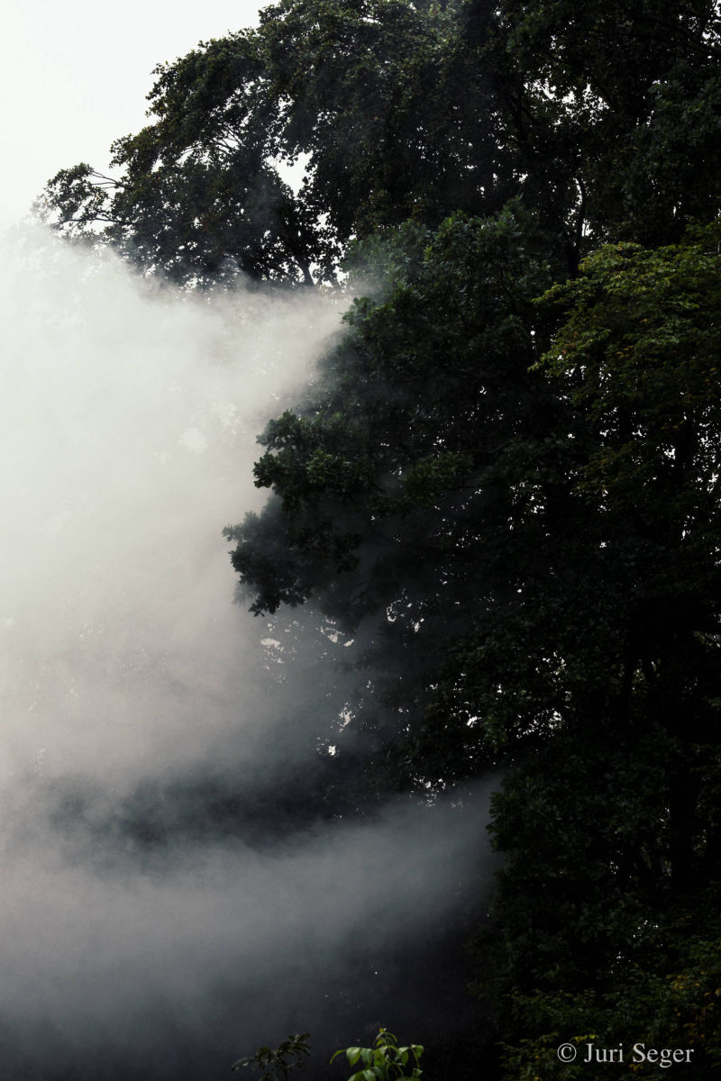 Summer Gathering — Foto 44