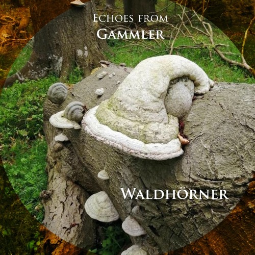 Echoes from Gammler - Waldhörner