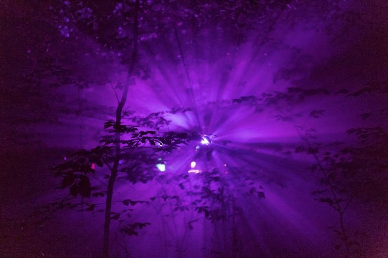 Selva Luna — Foto 10